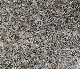 皇室啡（不染色(se)）