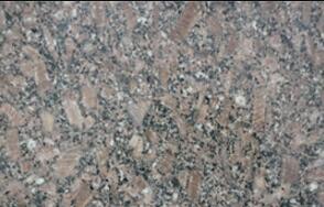 皇室啡玫(mei)瓌長蘤